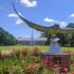 UNCW Chancellor: Growing numbers of qualified students